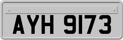 AYH9173