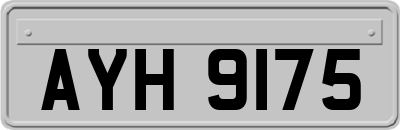 AYH9175