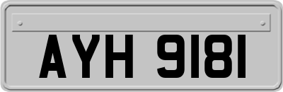 AYH9181