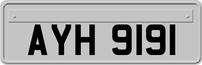 AYH9191