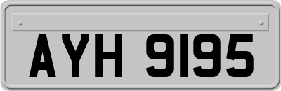 AYH9195