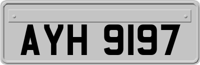 AYH9197
