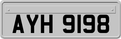 AYH9198