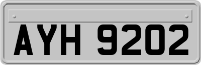 AYH9202