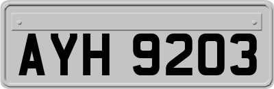 AYH9203