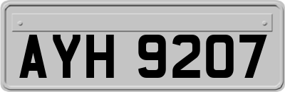 AYH9207