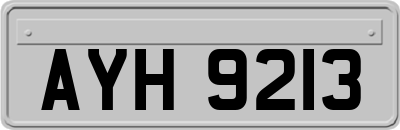 AYH9213