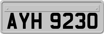 AYH9230