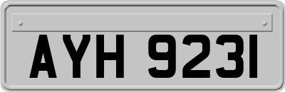 AYH9231