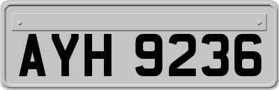 AYH9236