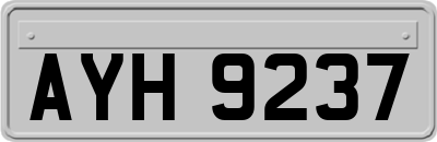 AYH9237
