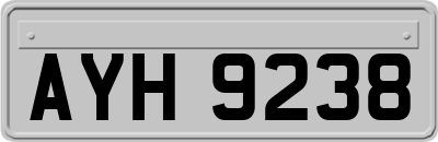 AYH9238