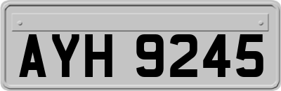 AYH9245