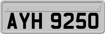 AYH9250
