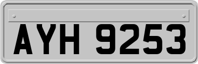 AYH9253