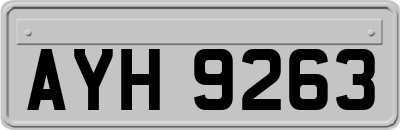 AYH9263