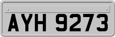 AYH9273