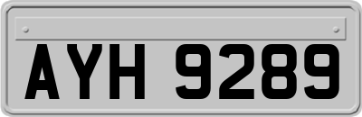 AYH9289