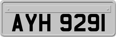 AYH9291