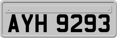 AYH9293
