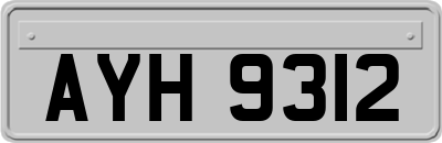 AYH9312