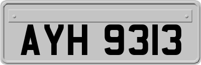 AYH9313