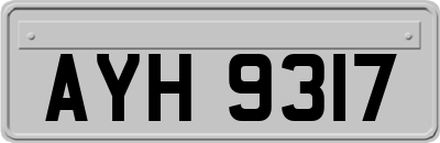 AYH9317
