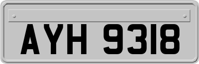 AYH9318