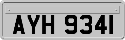 AYH9341