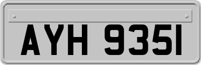 AYH9351