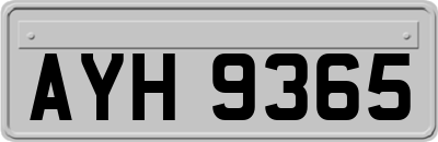 AYH9365