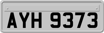 AYH9373