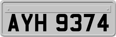 AYH9374