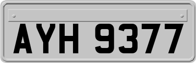 AYH9377