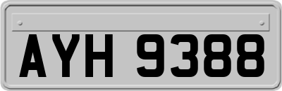 AYH9388