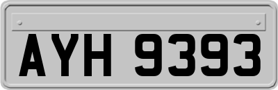 AYH9393