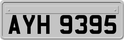 AYH9395