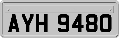 AYH9480