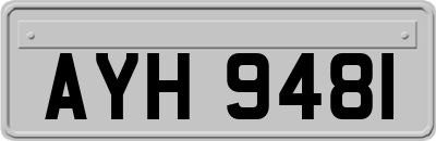 AYH9481