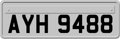 AYH9488