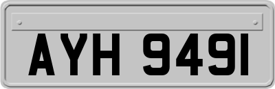 AYH9491