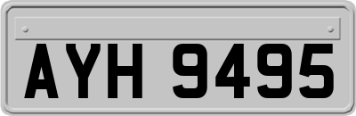 AYH9495