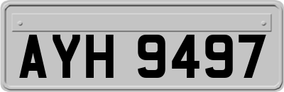 AYH9497