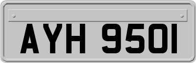 AYH9501
