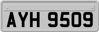 AYH9509