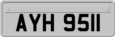 AYH9511