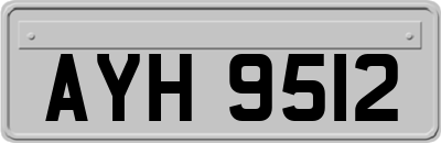 AYH9512