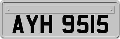 AYH9515