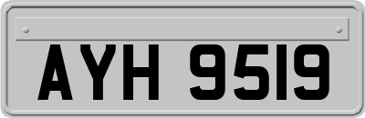 AYH9519