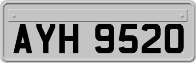 AYH9520